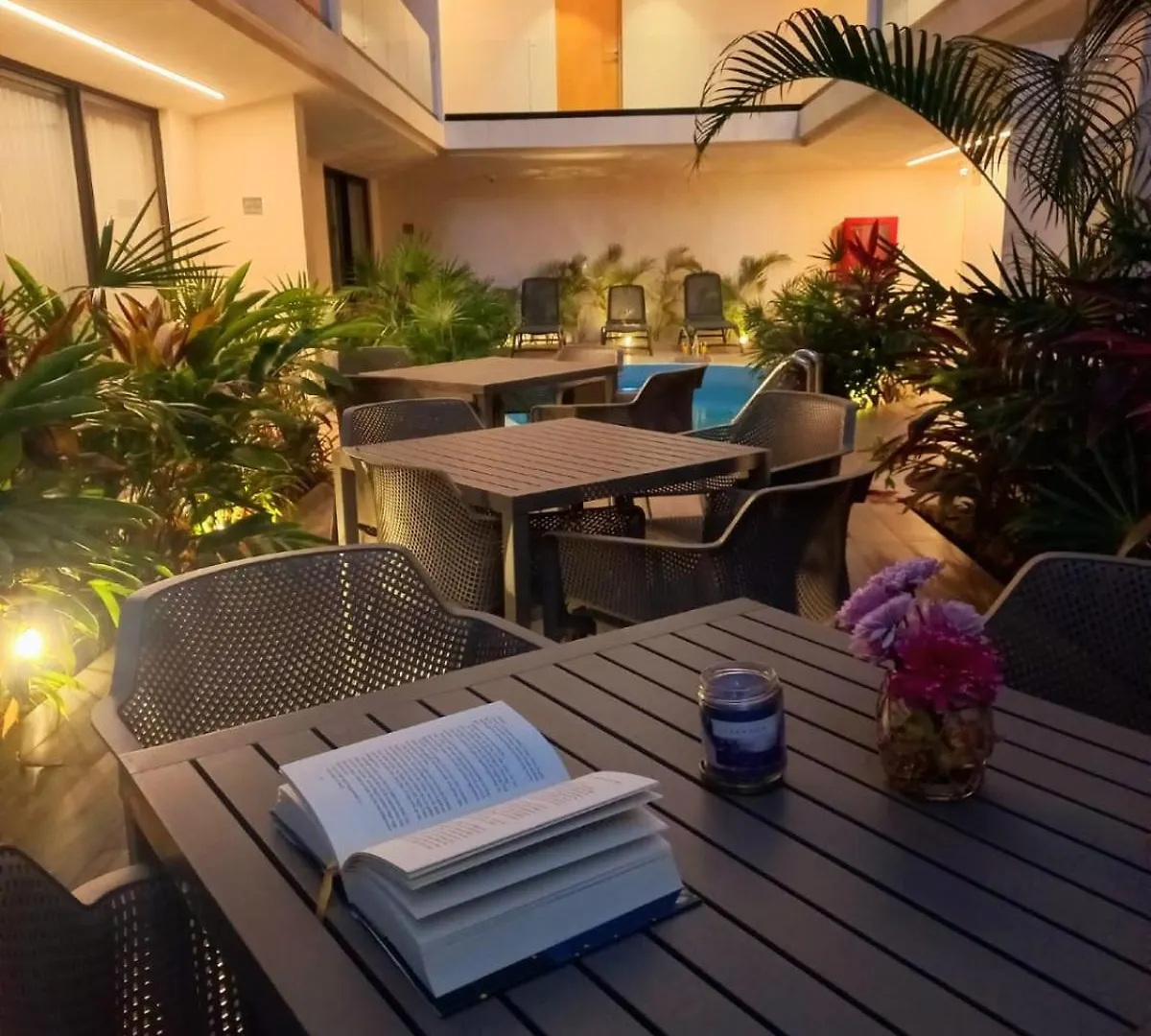 Apartment Sensai Downtown Beautiful Studio Playa del Carmen